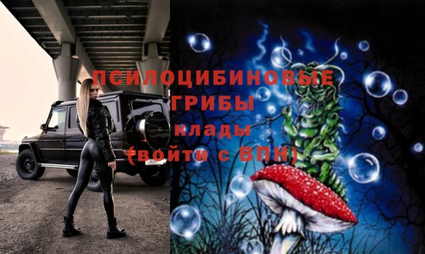 метадон Алексеевка