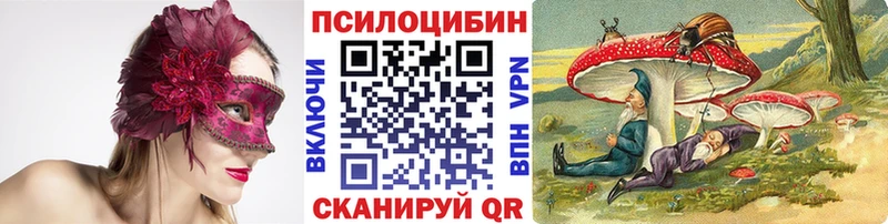 Псилоцибиновые грибы прущие грибы  ссылка на мегу как зайти  Грязи 